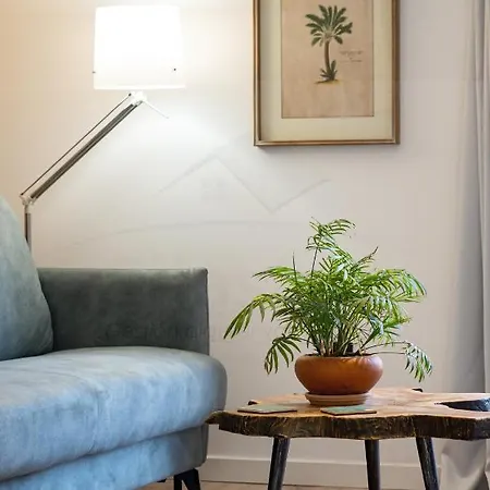 Apartamento Palomar De Corrida Atico Con Terraza By Silastur