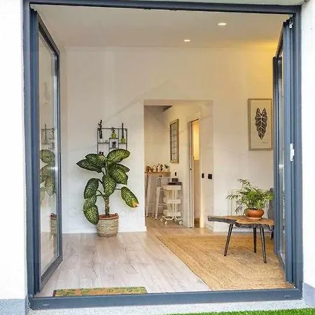 Palomar De Corrida ,atico Con Terraza